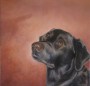 Mary's Dog, Oil on canvas