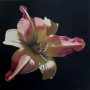 Lily, Oil on canvas, 48 x 48 inches